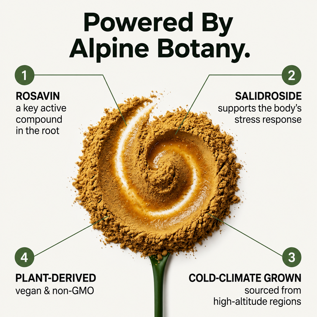 Mirela™ Rhodiola Rosea